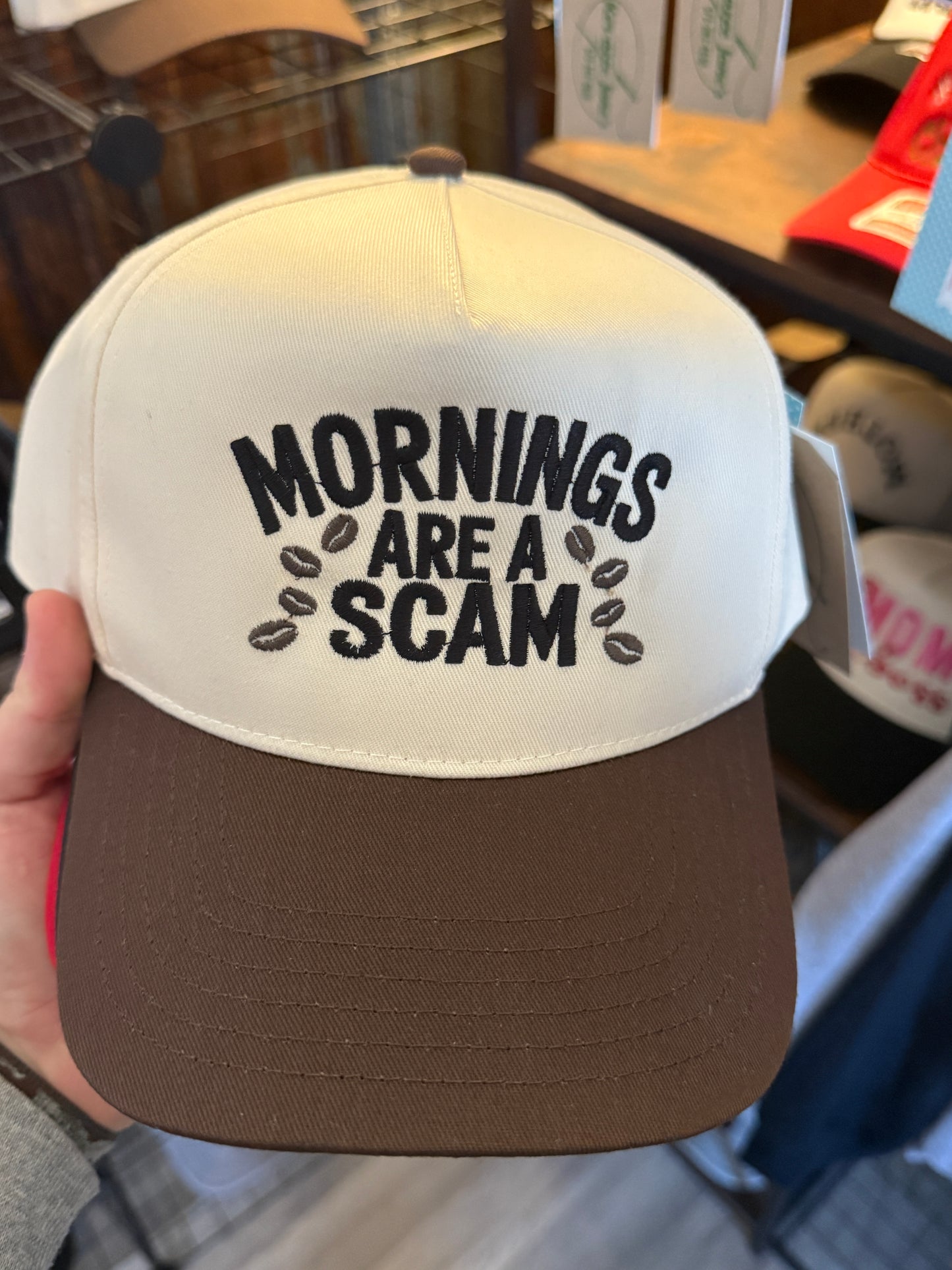 Mornings Are A Scam